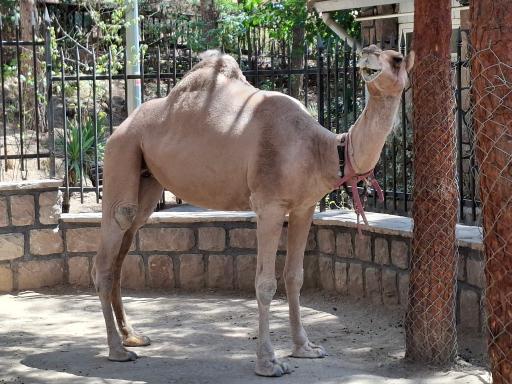 عکس فاز 2 باغ پرندگان تهران