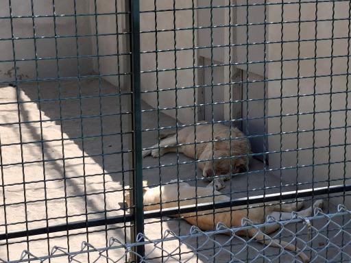 عکس فاز 2 باغ پرندگان تهران