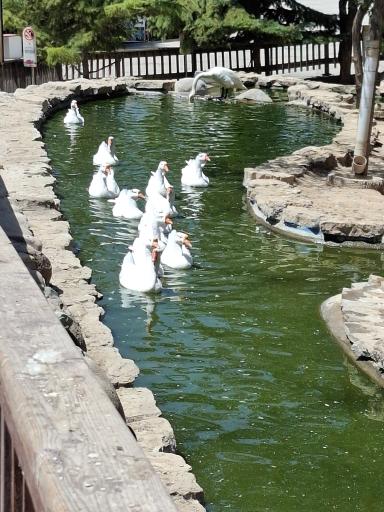 عکس فاز 2 باغ پرندگان تهران