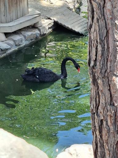 عکس فاز 2 باغ پرندگان تهران