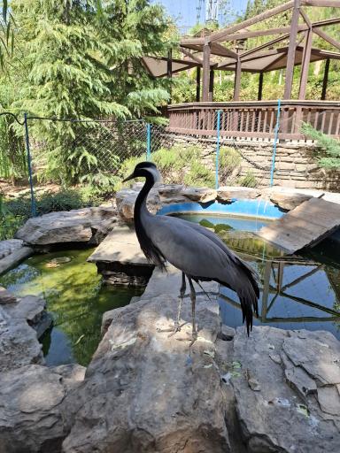 عکس فاز 2 باغ پرندگان تهران