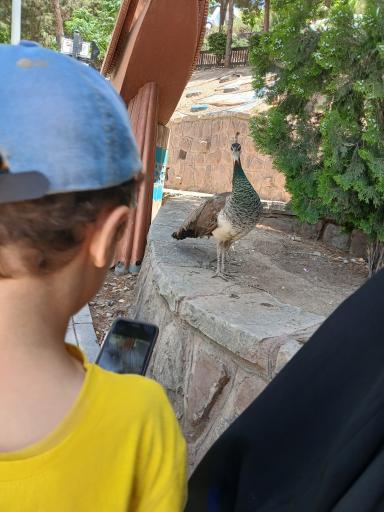 فاز 2 باغ پرندگان تهران