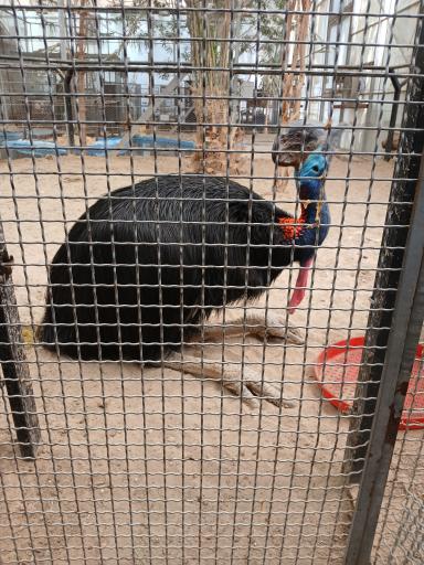 فاز 2 باغ پرندگان تهران