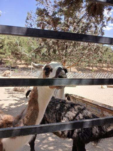 فاز 2 باغ پرندگان تهران