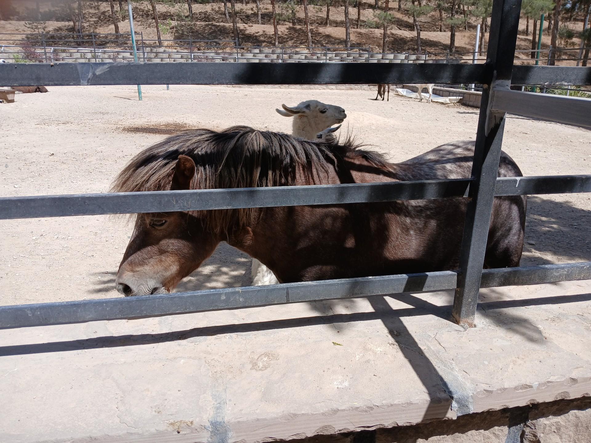 عکس فاز 2 باغ پرندگان تهران