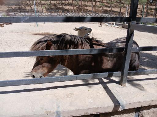 فاز 2 باغ پرندگان تهران