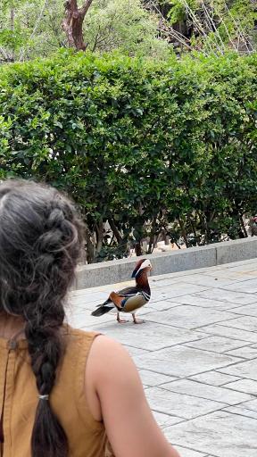 عکس فاز 2 باغ پرندگان تهران