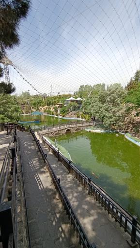 عکس فاز 2 باغ پرندگان تهران