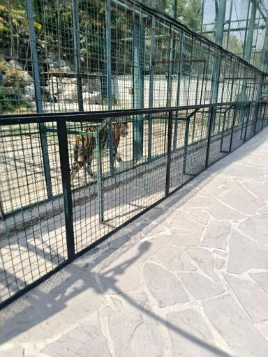 عکس فاز 2 باغ پرندگان تهران
