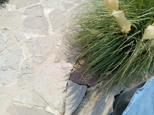 عکس فاز 2 باغ پرندگان تهران