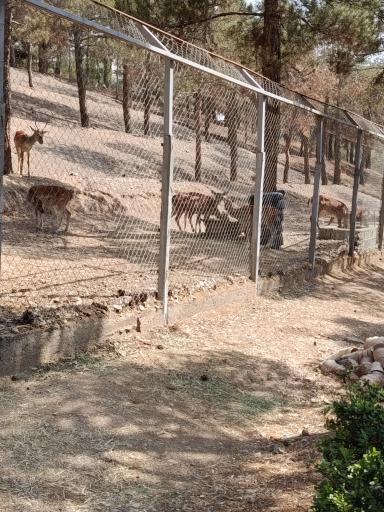 عکس فاز 2 باغ پرندگان تهران