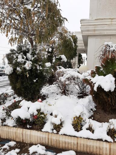 عکس برج جام جم