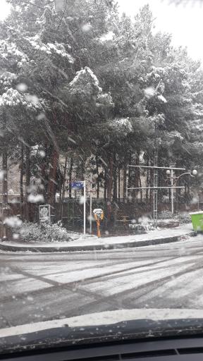 عکس بوستان کاج همایون ویلا