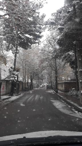 عکس بوستان کاج همایون ویلا