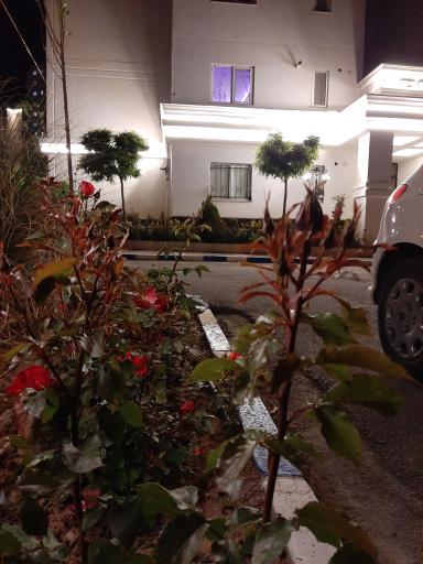 عکس برج جام جم