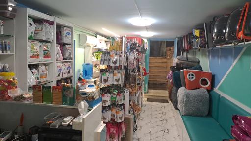 عکس کلینیک دامپزشکی دکتر رشیدی