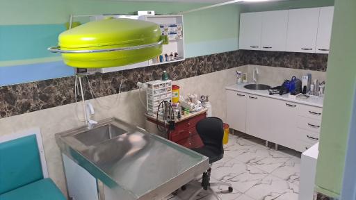 عکس کلینیک دامپزشکی دکتر رشیدی