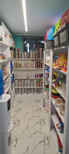 عکس کلینیک دامپزشکی دکتر رشیدی