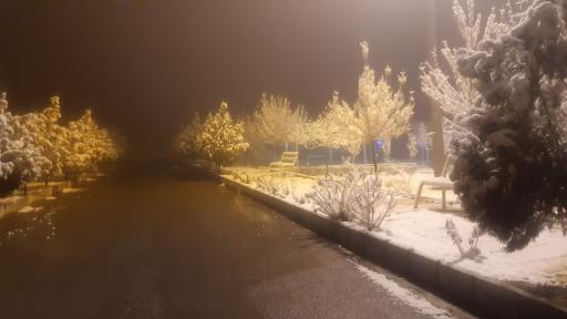 عکس دانشگاه دولتی محلات