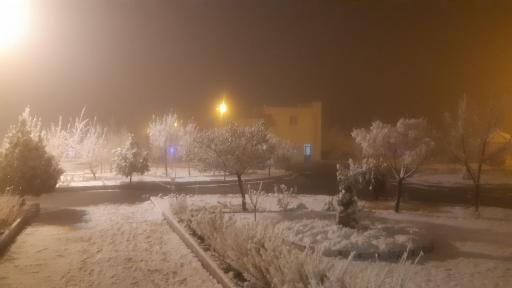 عکس دانشگاه دولتی محلات