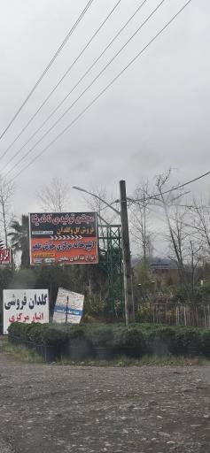 عکس آشپزخانه مرکزی خوش طعم 