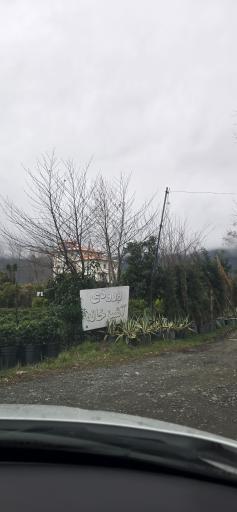 عکس آشپزخانه مرکزی خوش طعم 