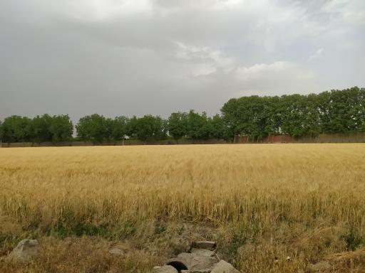 عکس ابراهیم آباد