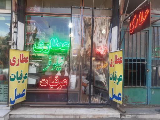 عکس عطاری نیلوفر