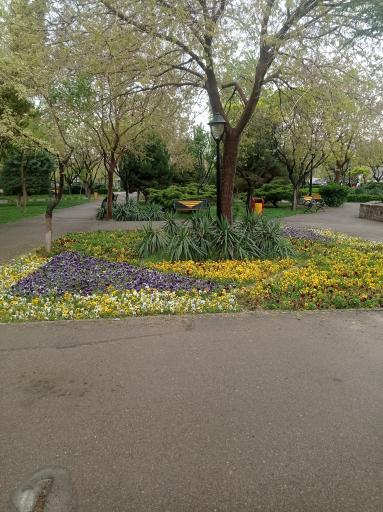 عکس پارک آزادگان