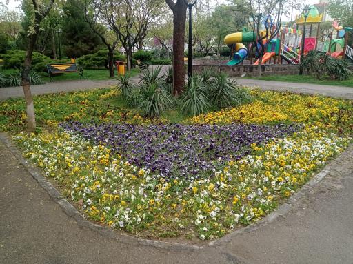 عکس پارک آزادگان