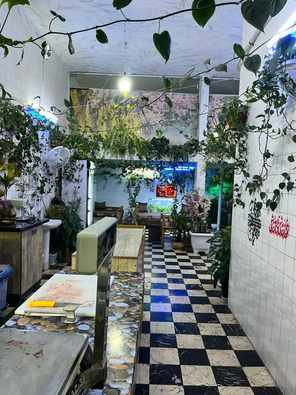 عکس جگرکی قاسم