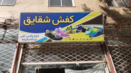 عکس کفش شقایق