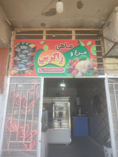مرغ ماهی زاگرس 