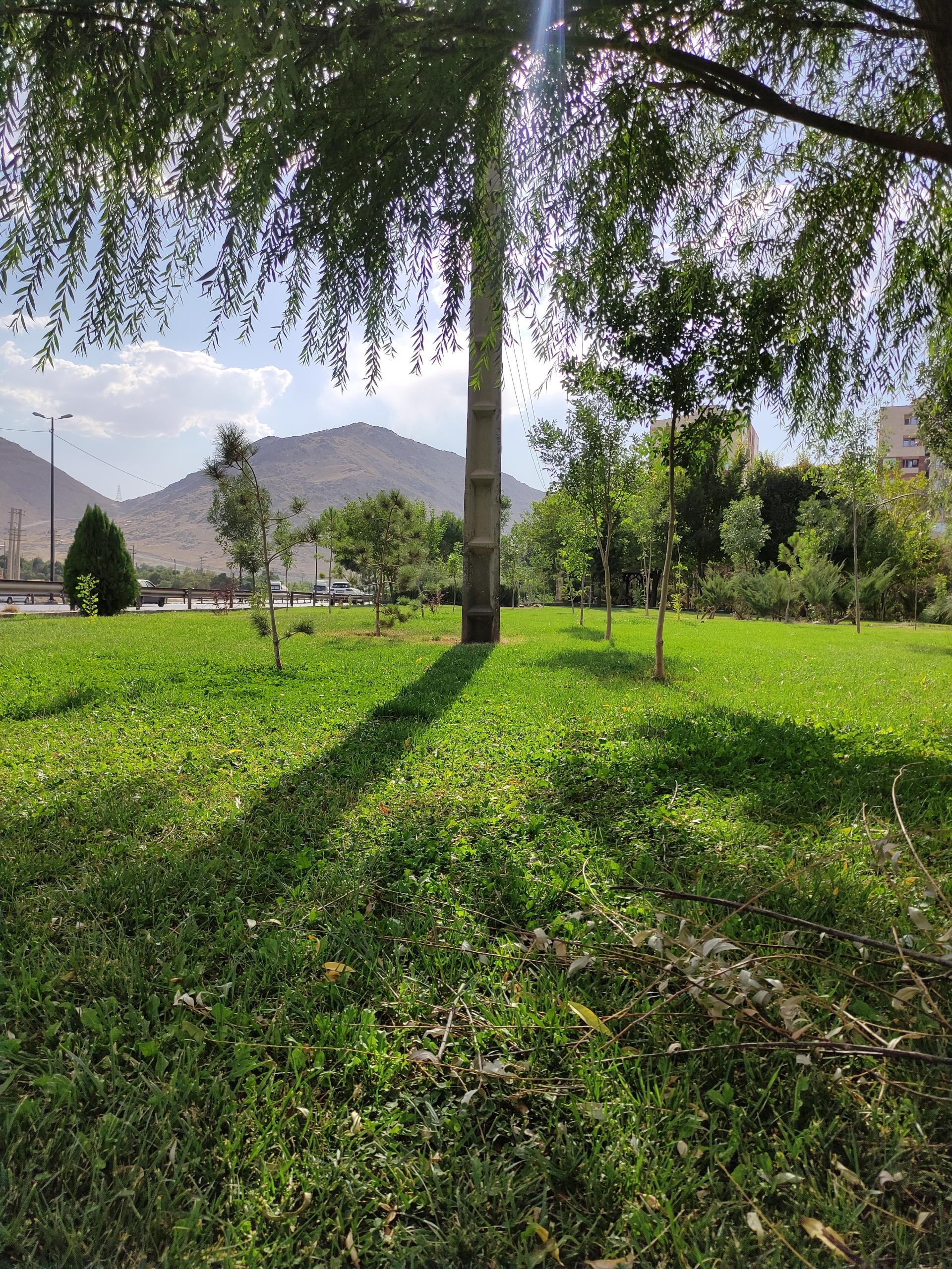 عکس بوستان گردو