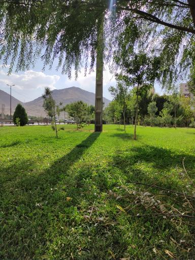 عکس بوستان گردو