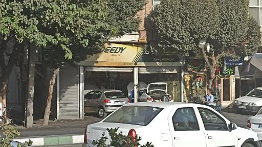 اتو سرویس نمونه