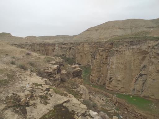 عکس بند نادری