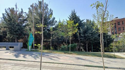 عکس بوستان استاد محمد علی شیرازی