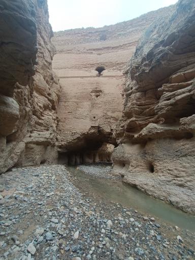 عکس بند نادری