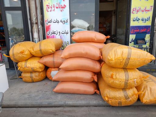 عکس گیاهان دارویی مخلص آبادی