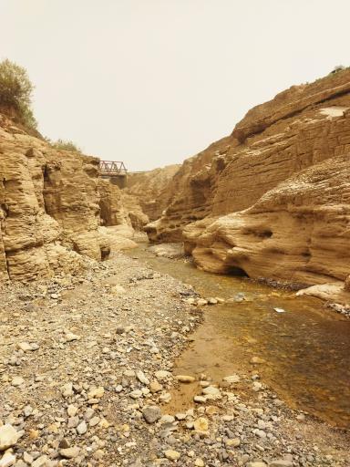 عکس بند نادری