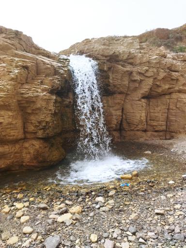 عکس بند نادری