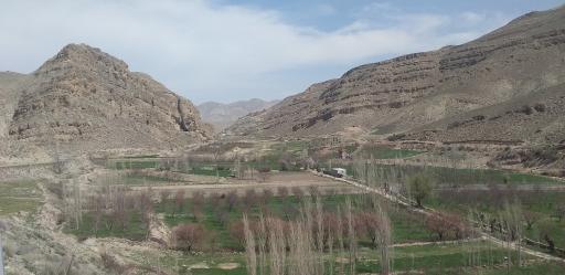 عکس زوخانو