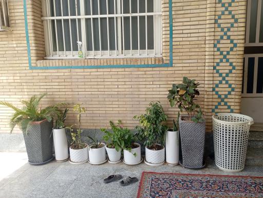 عکس مسجد مهدی موعود