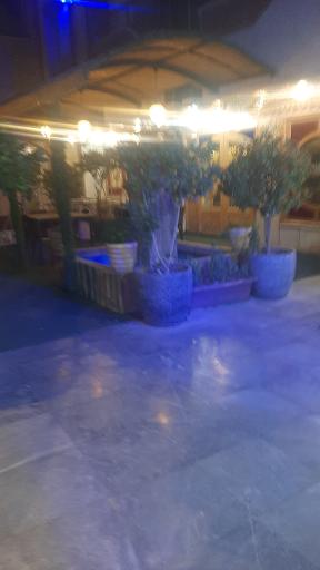 عکس هتل صفوی