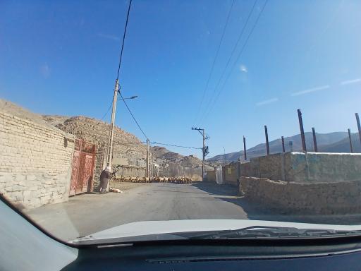 عکس زوخانو