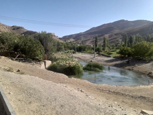 عکس زوخانو