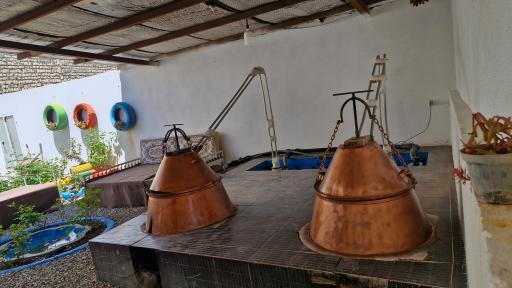 عکس گلاب سنتی بعثت
