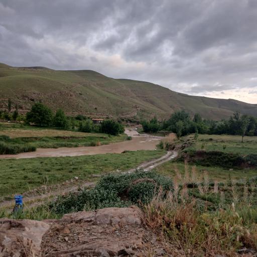 عکس زوخانو