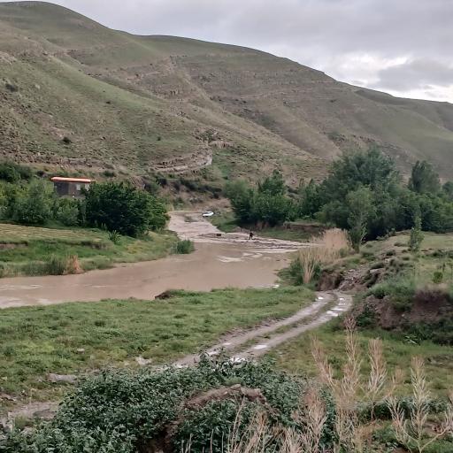 عکس زوخانو
